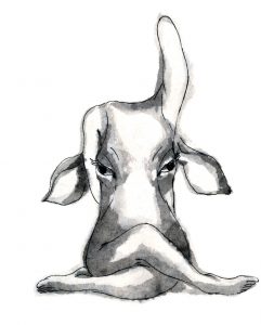 posture de la tête de vache en yoga