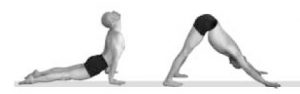Vinyasa